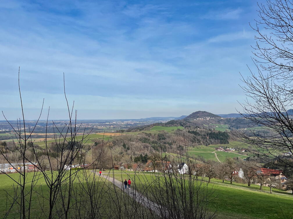 25-03-21 15-23-24 2499